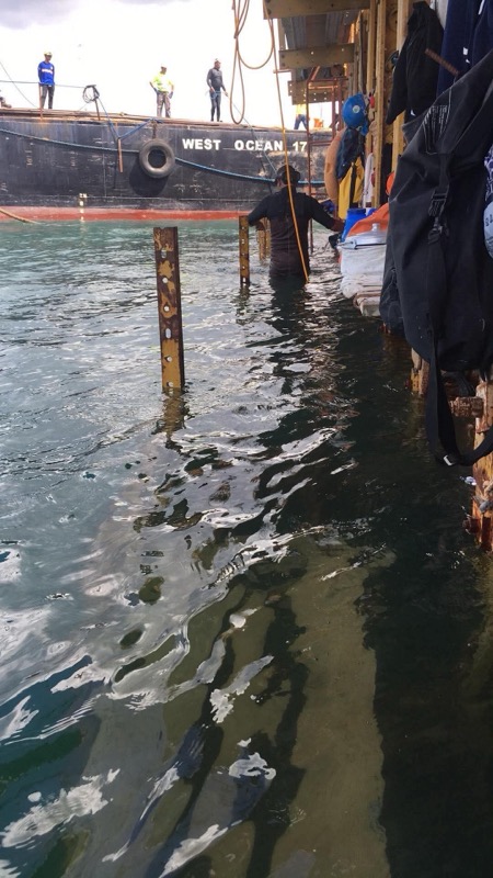 Vessel WEST OCEAN 17 with diver entering water at pier